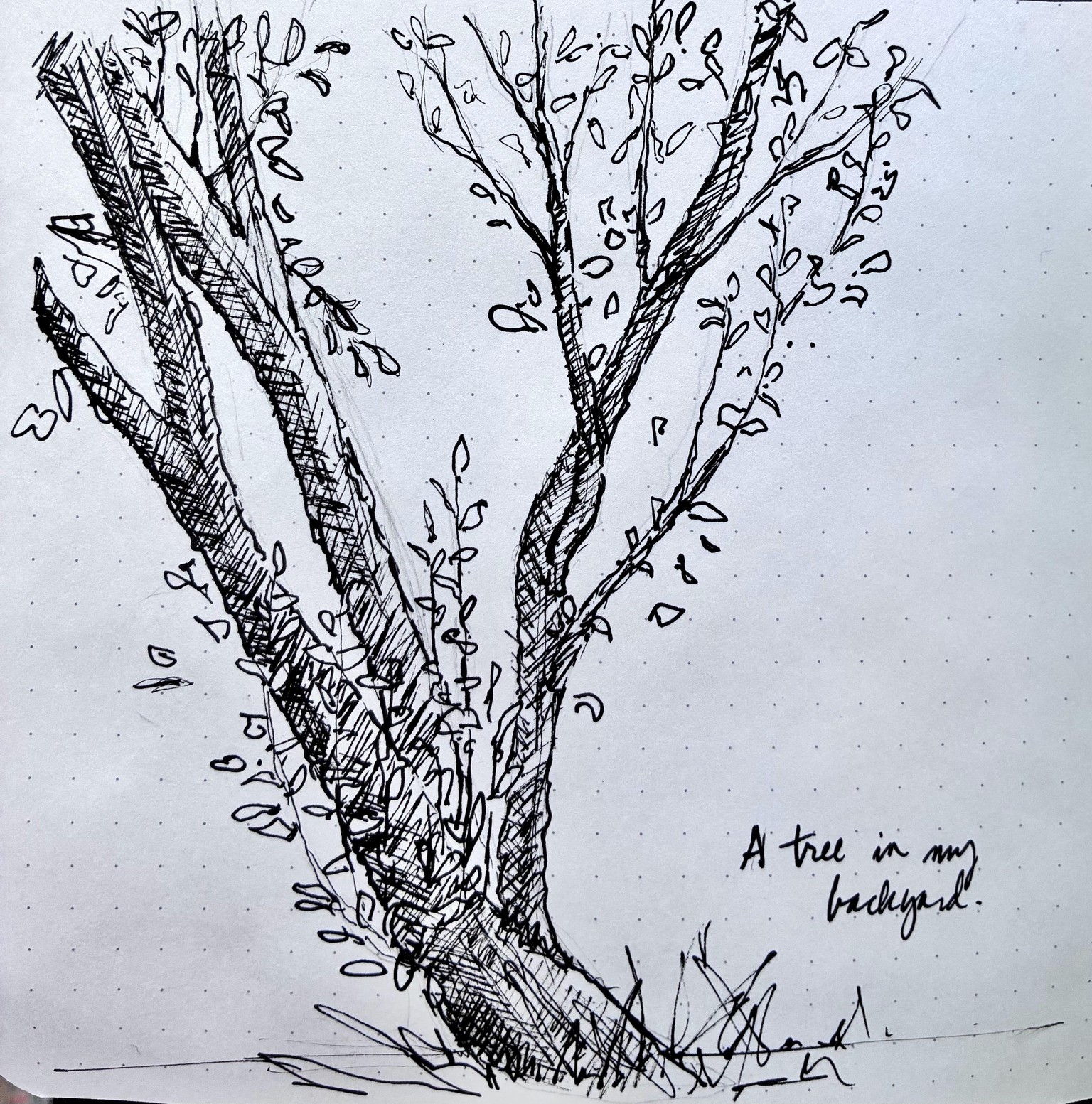Realistic Trees - image 4 - student project