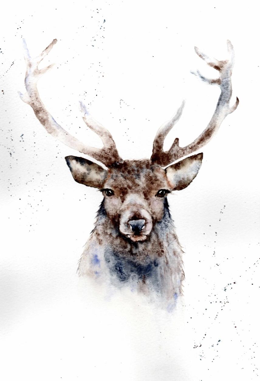 The Noble Stag - image 1 - student project