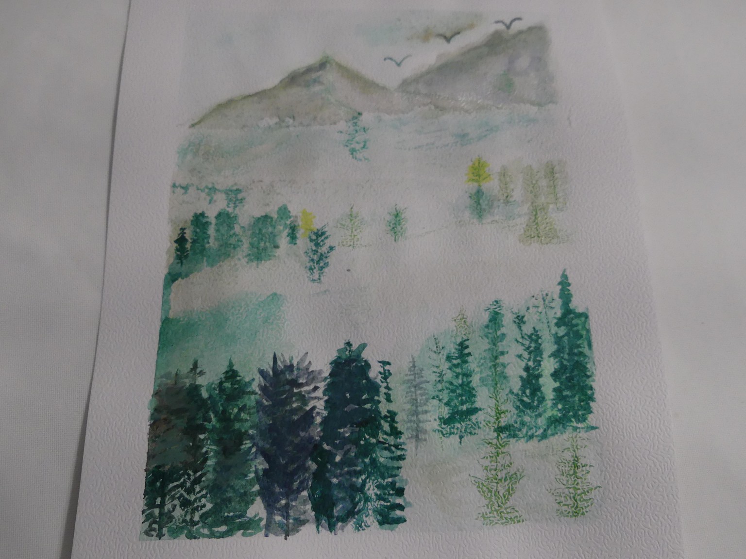 Capturing Nature's Calm - image 4 - student project