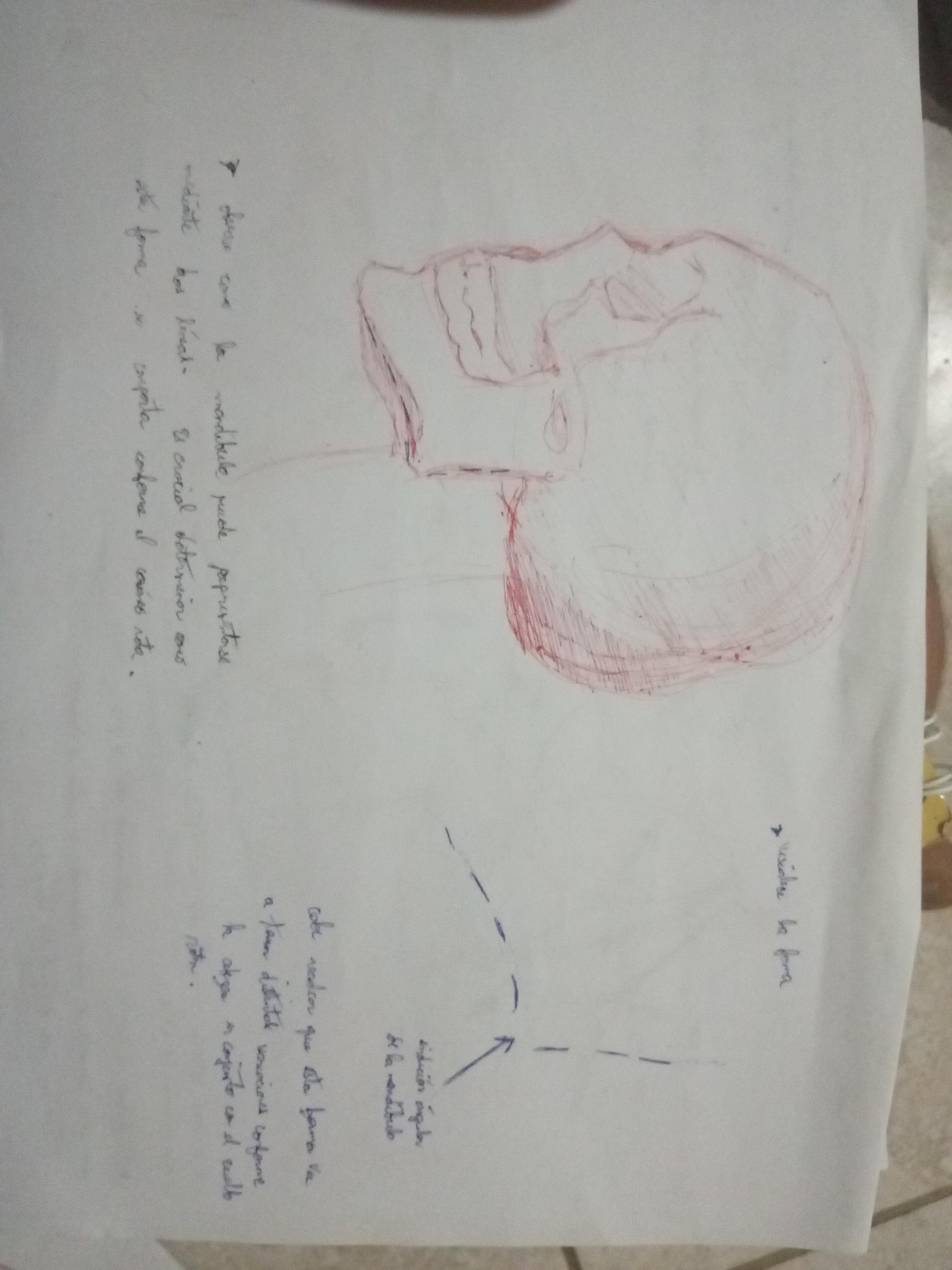 Volumen and structure - image 14 - student project