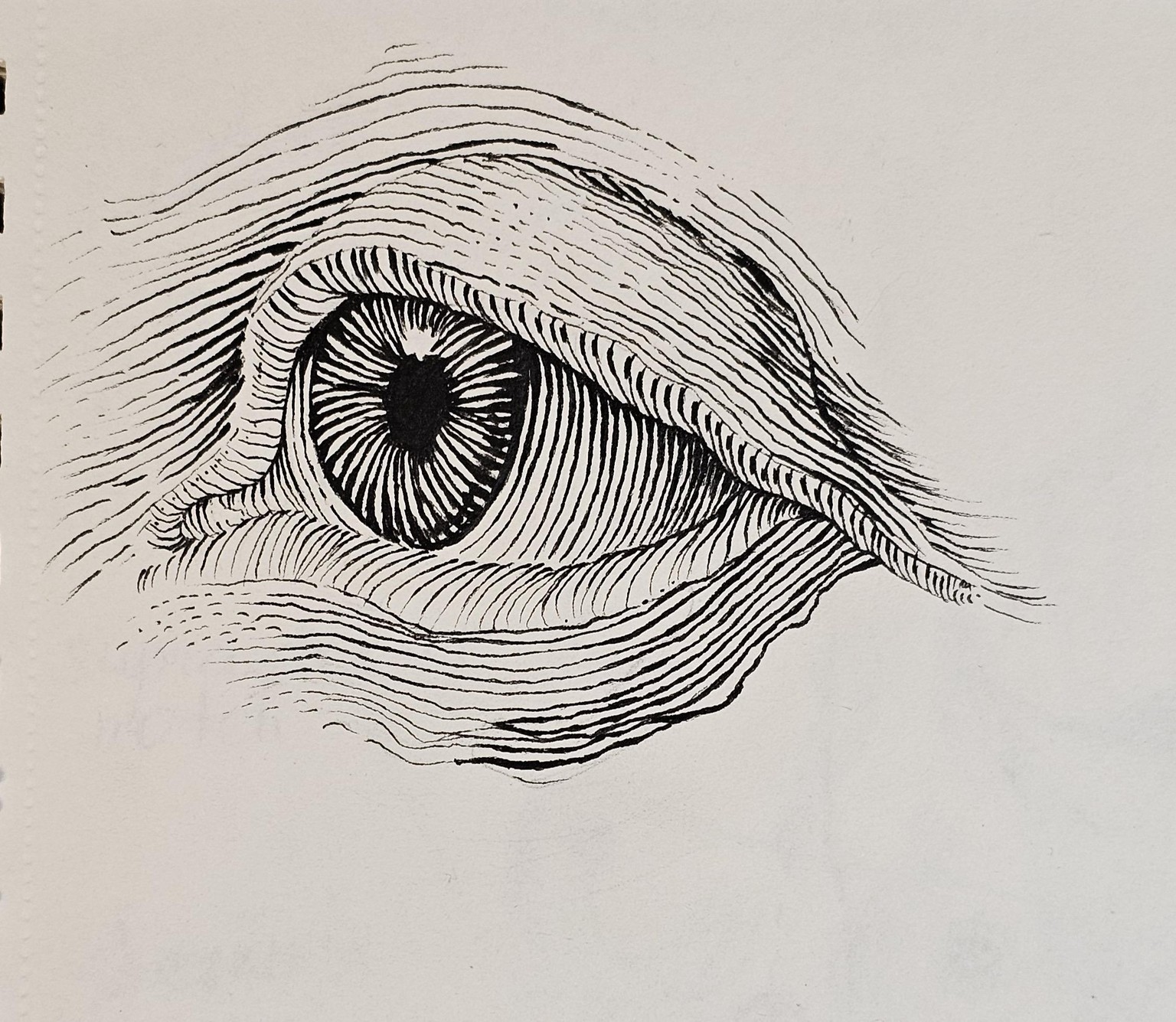 Engraving style learning - image 1 - student project