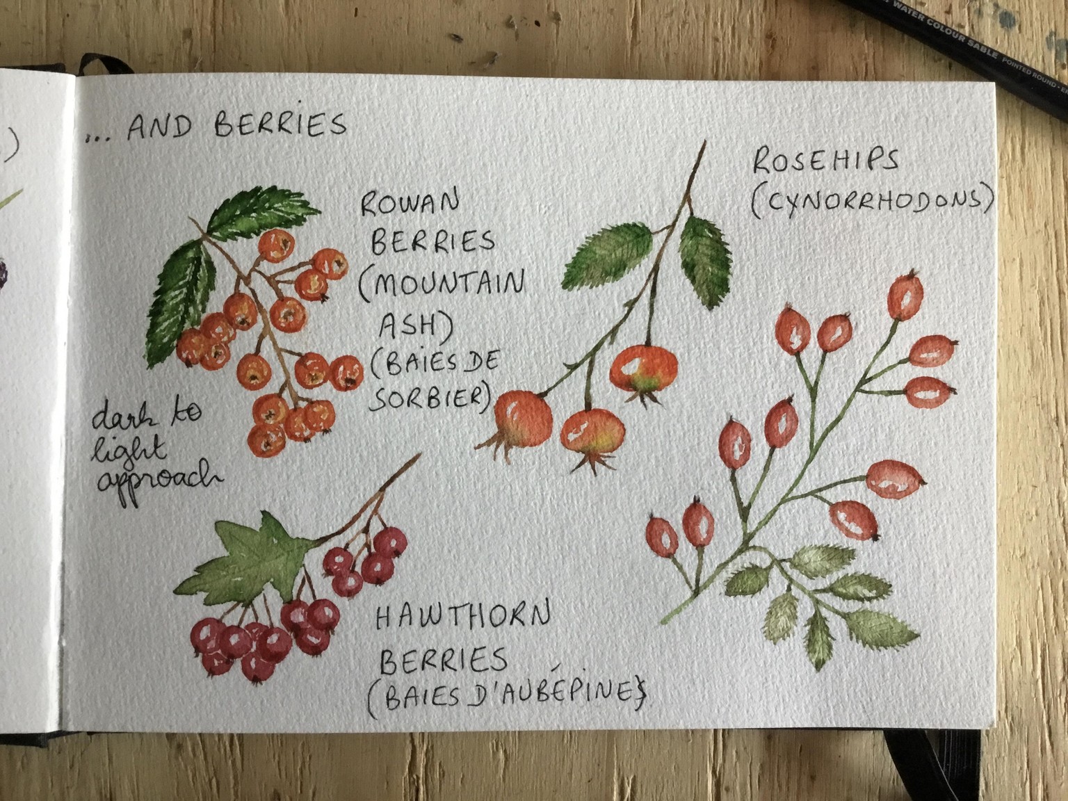 Autumn in Watercolour - image 4 - student project