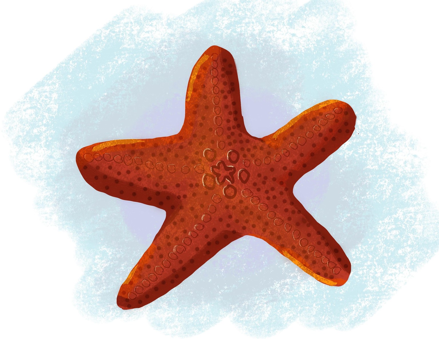 Sea Creature : Starfish - image 1 - student project
