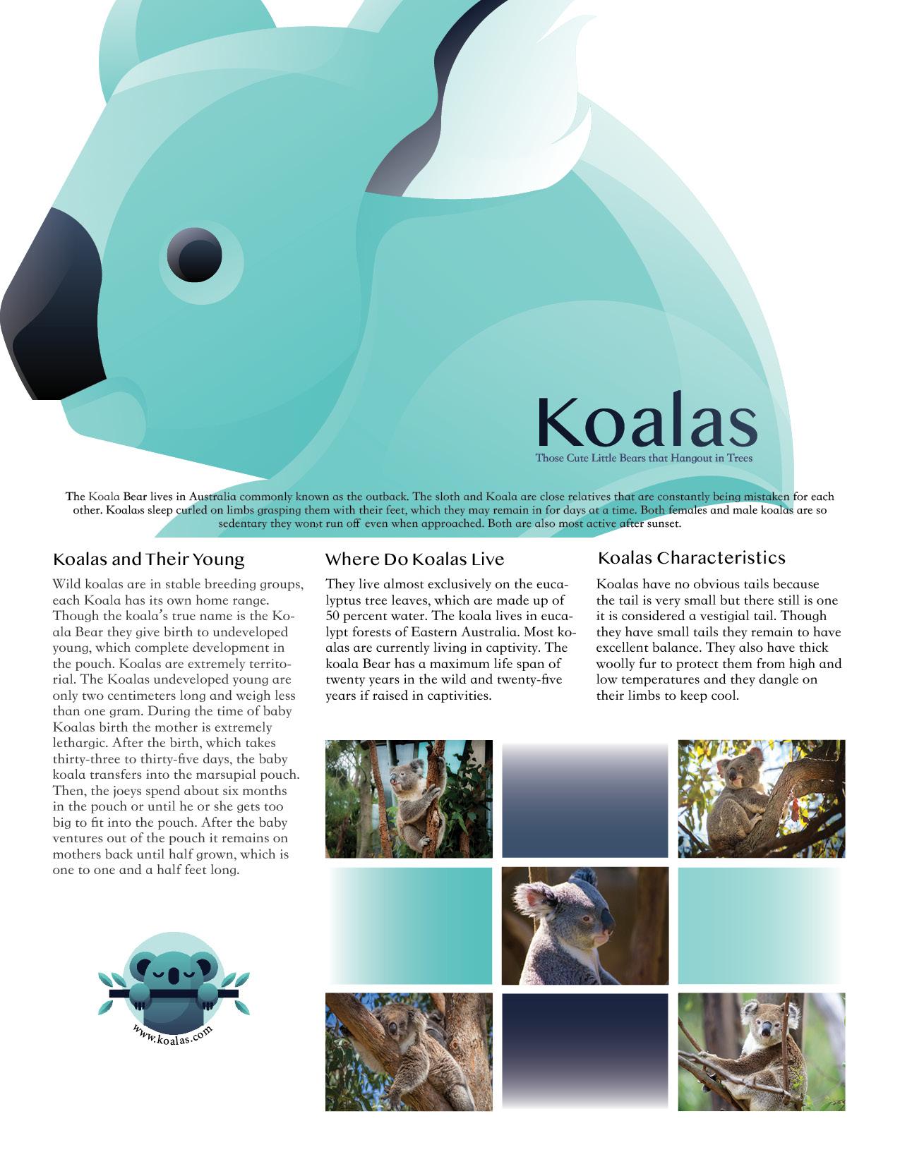 InDesign Informative Projects: Typography, Hierarchy, and Brand Color for Effective Design - image 1 - student project