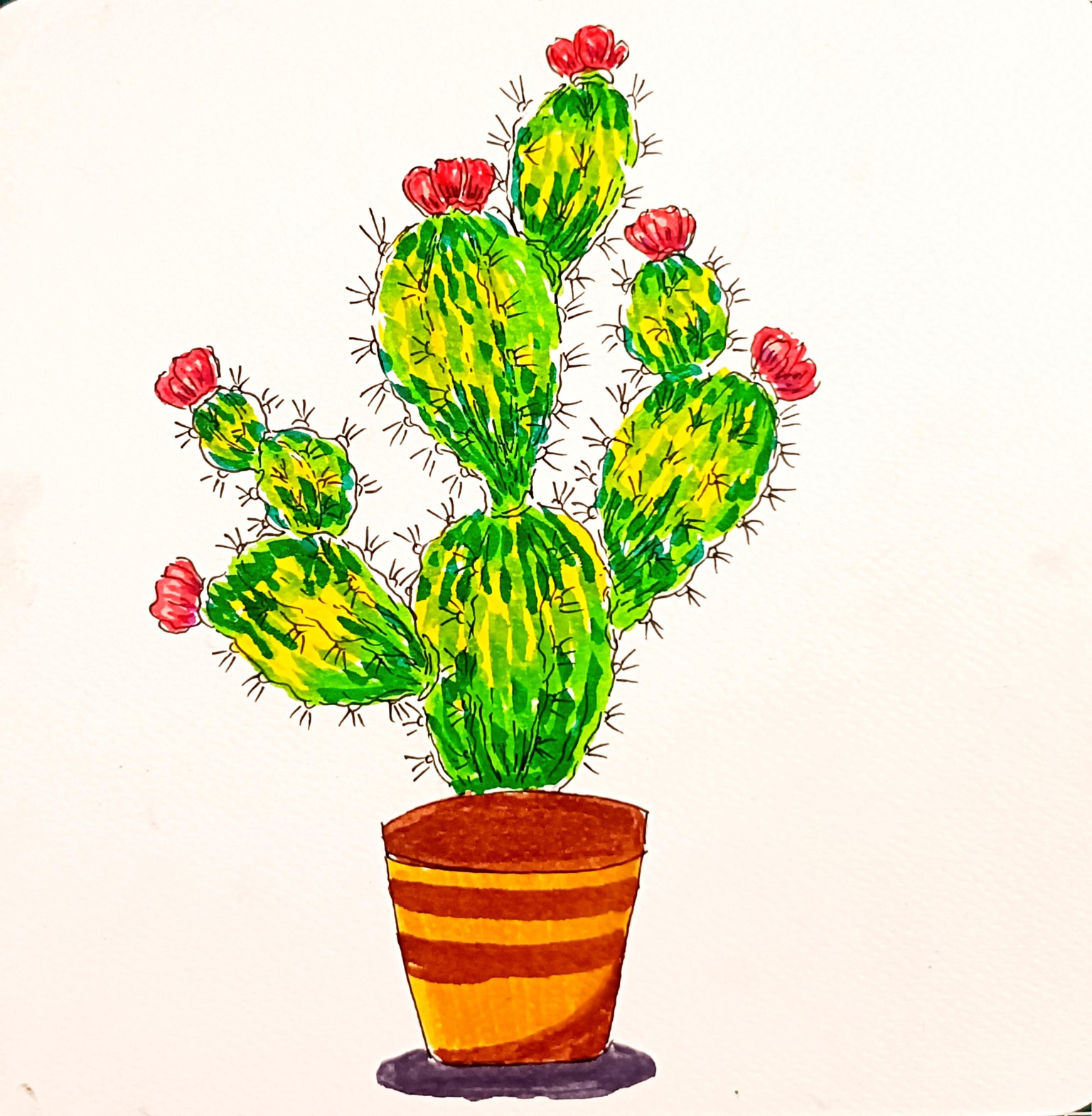 Mini Cactus 🌵 - image 6 - student project