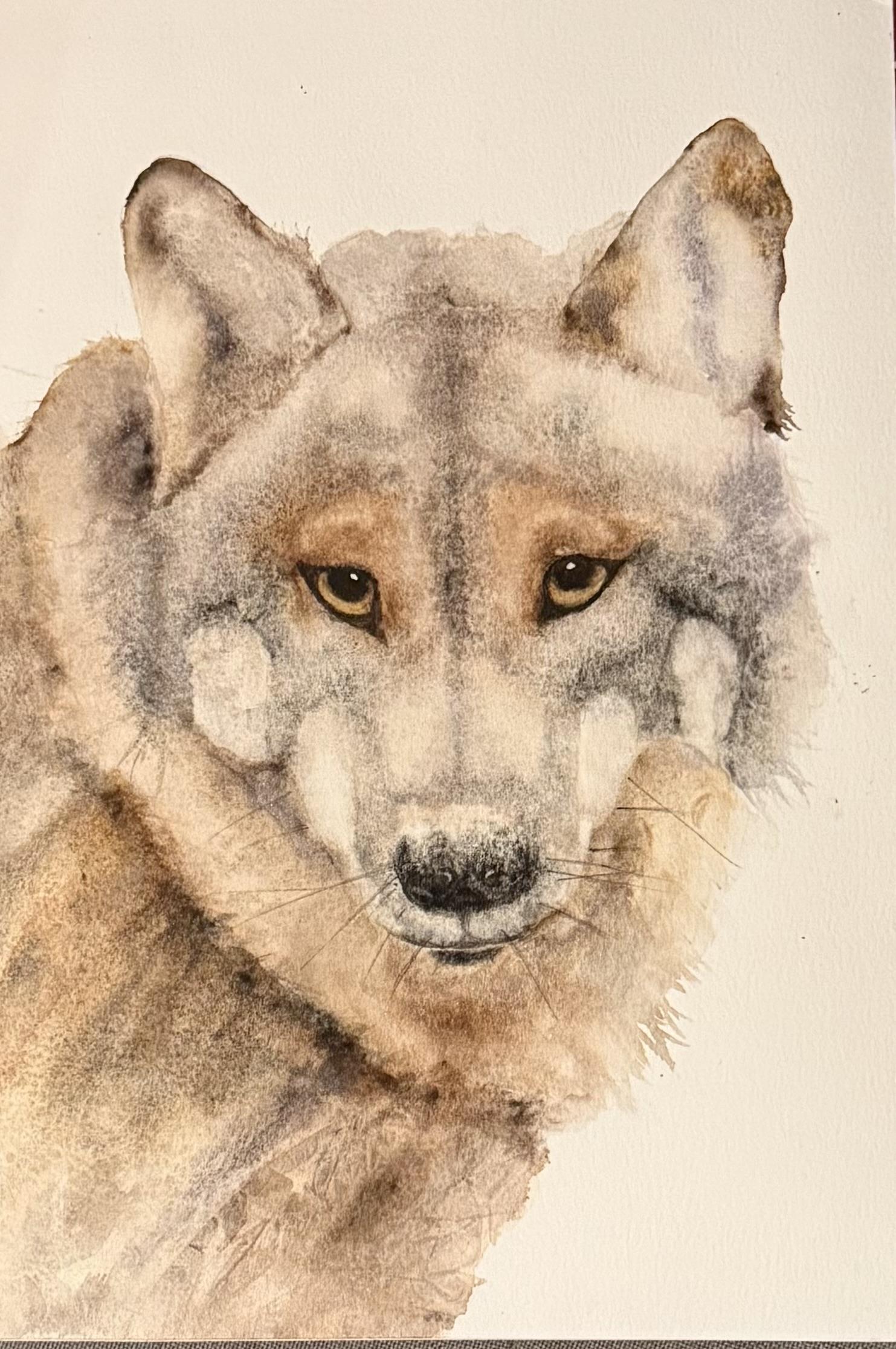 Wolf! - image 2 - student project