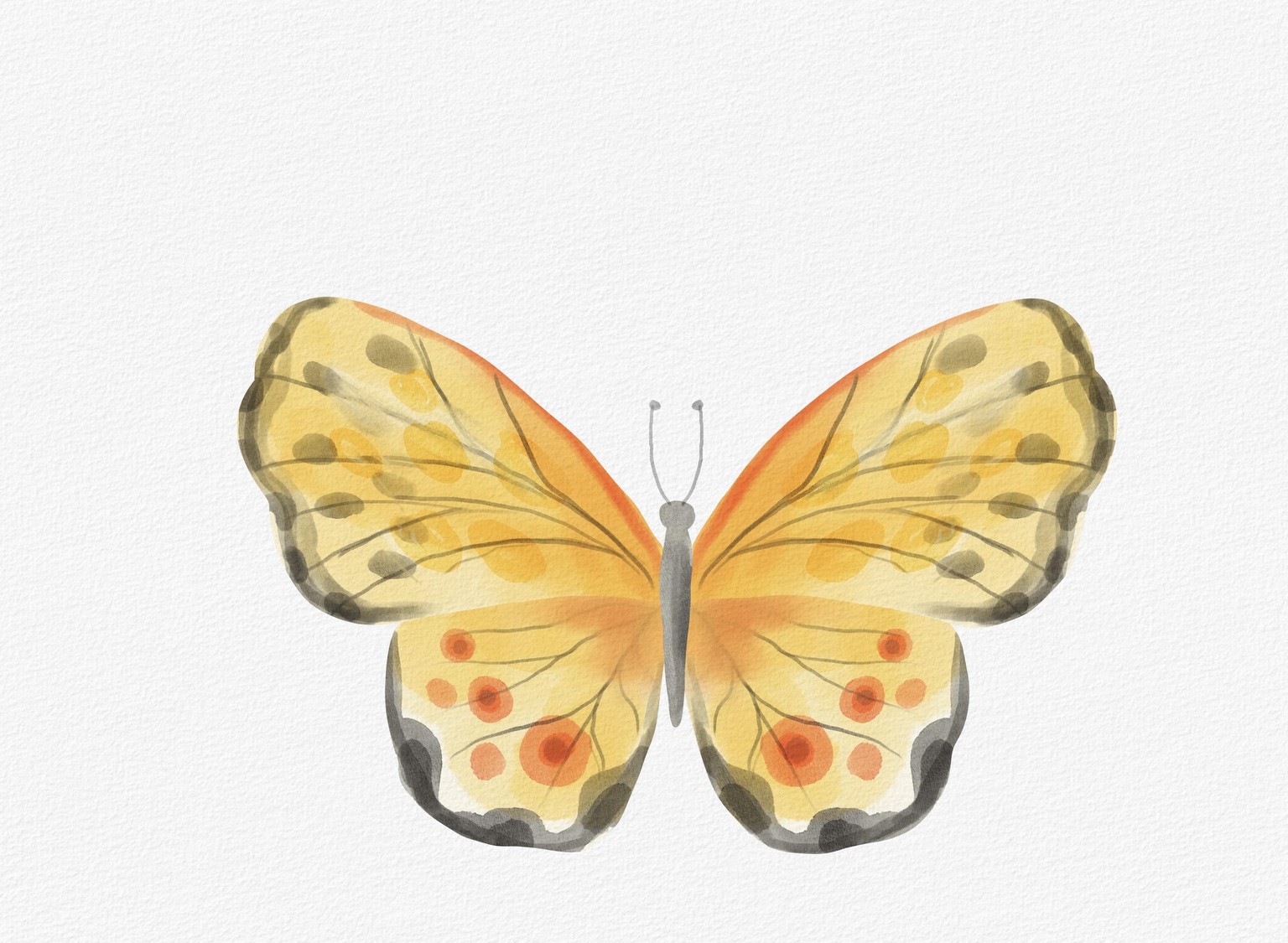 Feeling butter-fly. - image 1 - student project