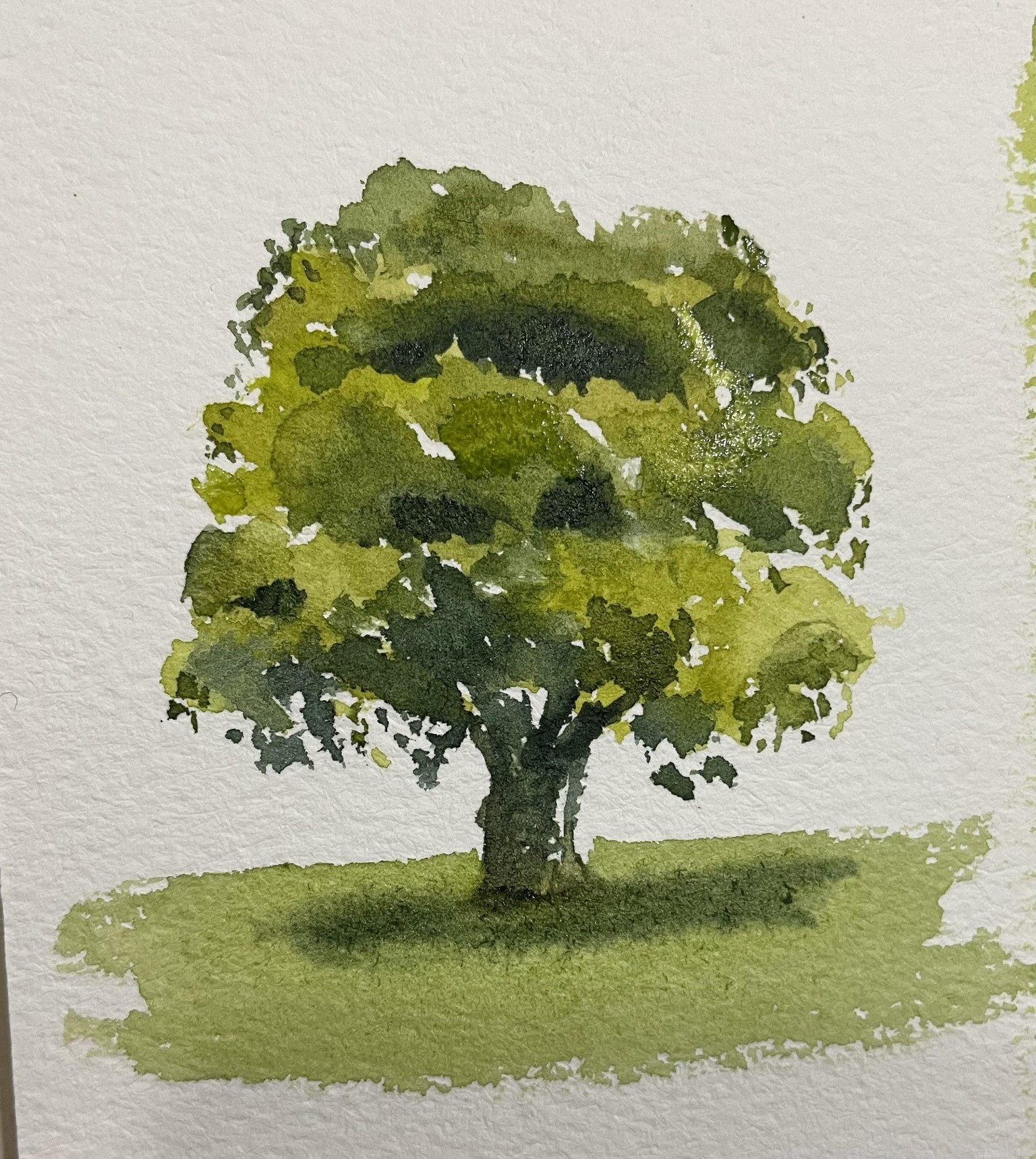 Trees - image 1 - student project