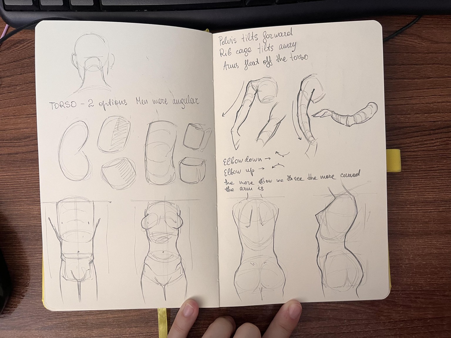 sketches - image 2 - student project