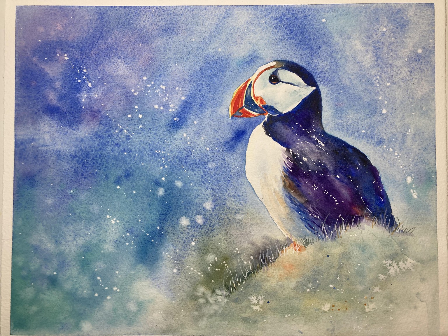 Puffin - image 1 - student project