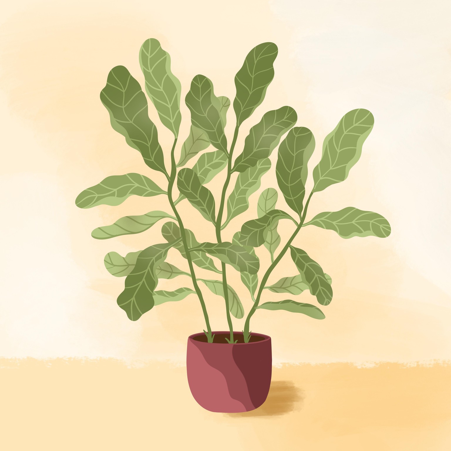 Plant illustrations - image 2 - student project