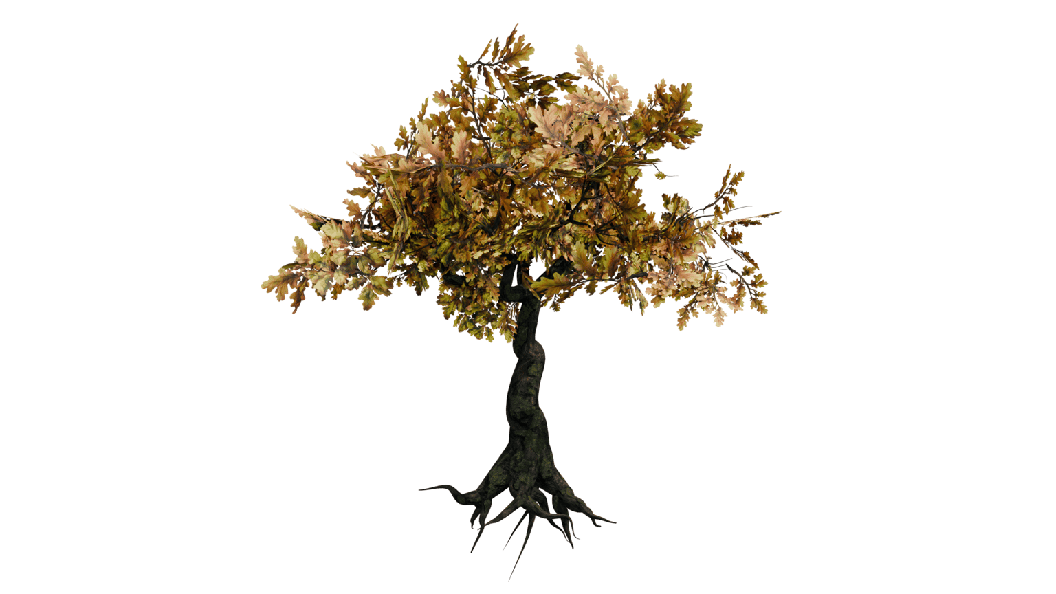 Procedural 3D Tree with Geometry Nodes - image 3 - student project