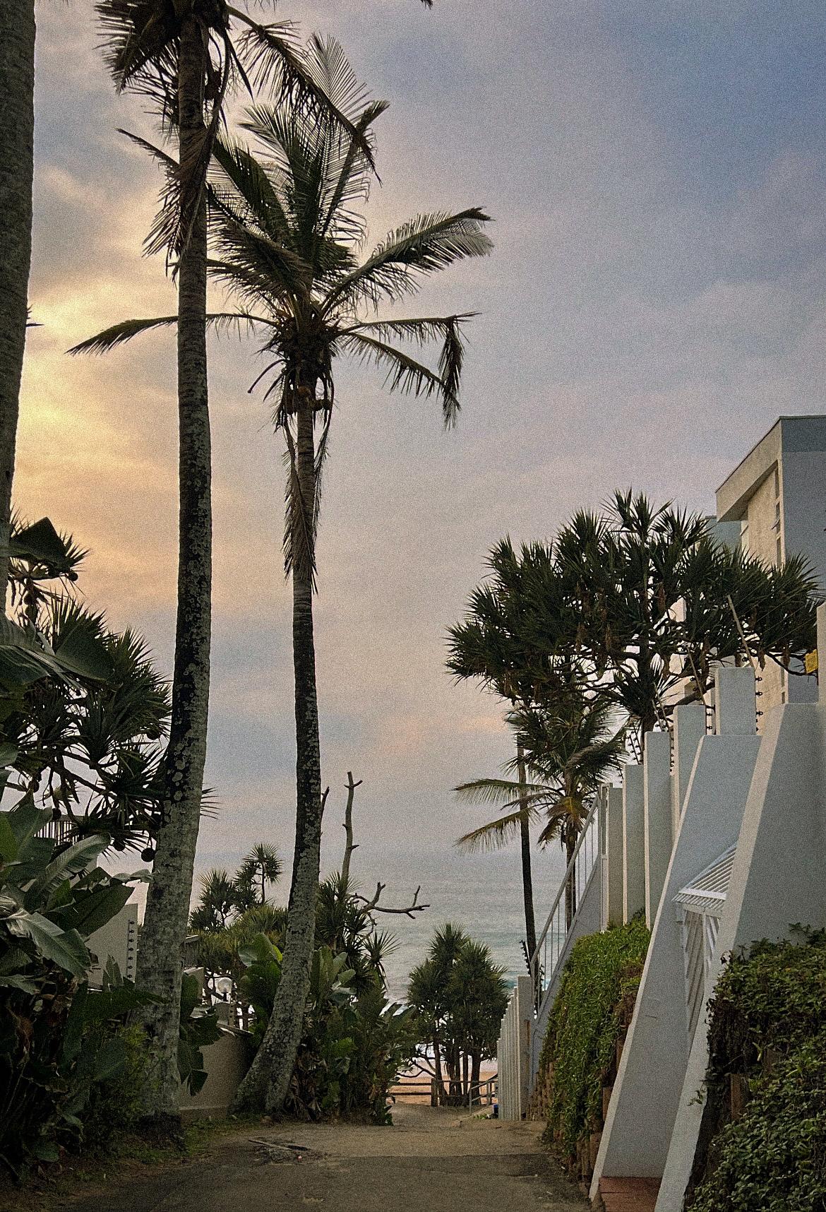 🎞️📷 - image 3 - student project