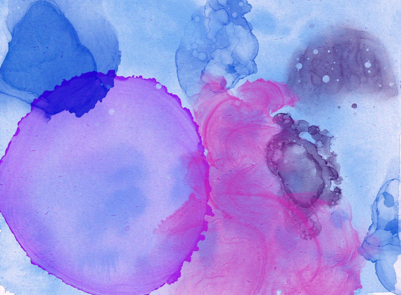 So much color - image 2 - student project