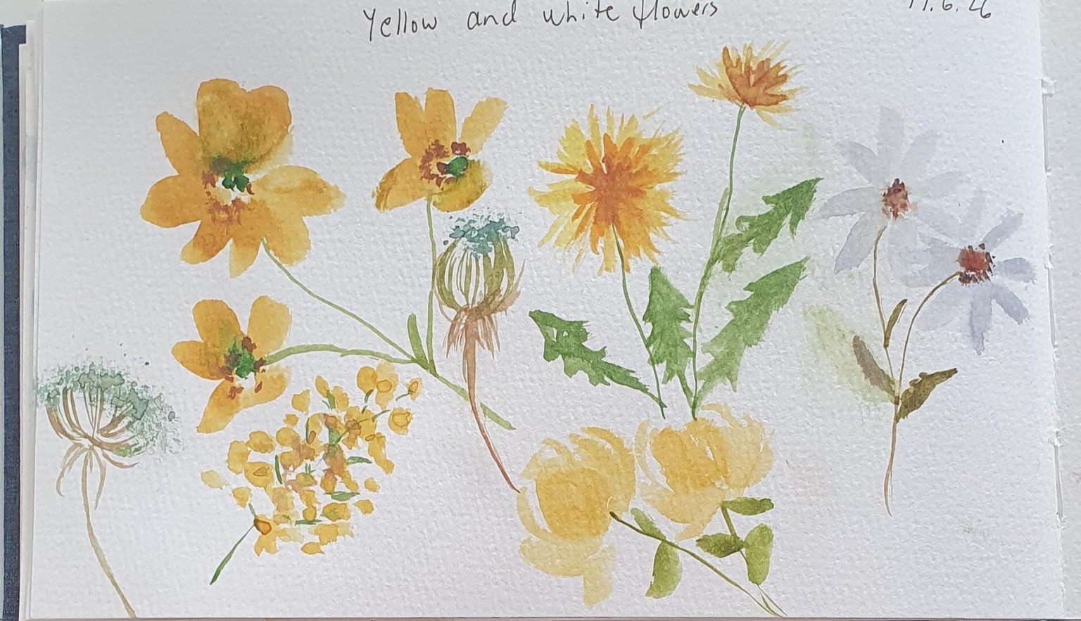 Wildflowers in loose style : - image 4 - student project
