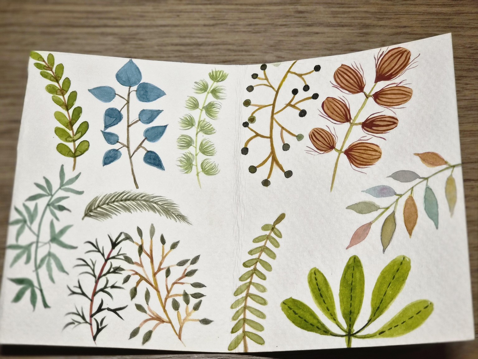 Lovely Leafy Leaves - image 1 - student project
