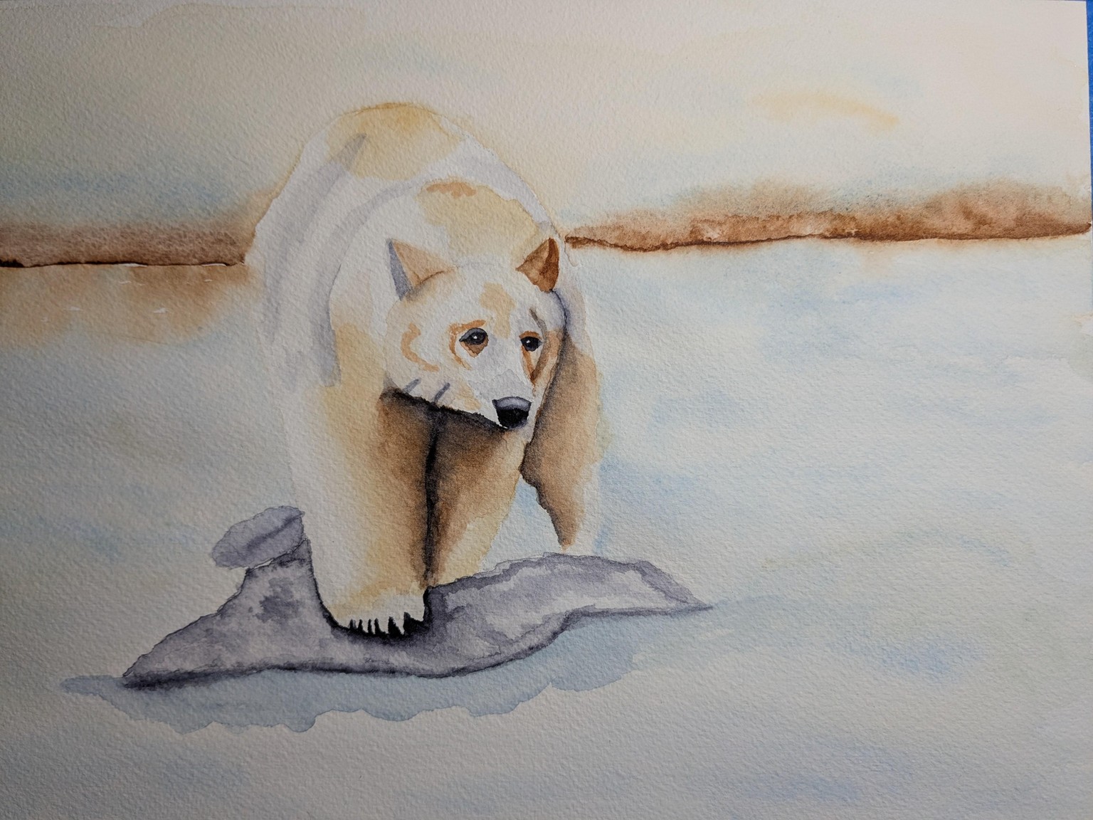 Spirit Bear - image 1 - student project