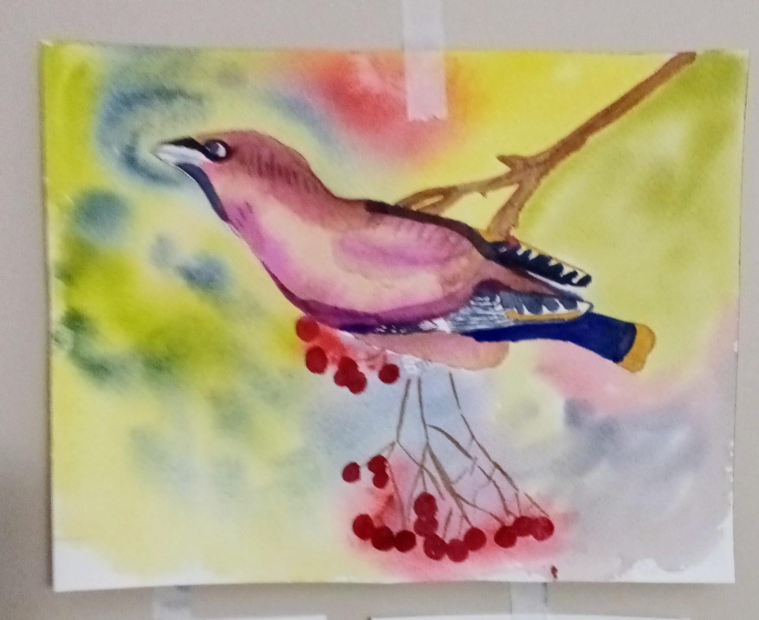 Bohemian waxwing - image 1 - student project