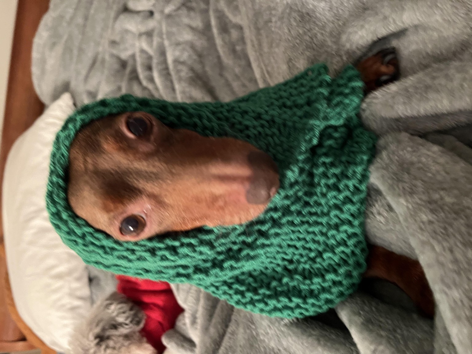 Knitting - image 1 - student project