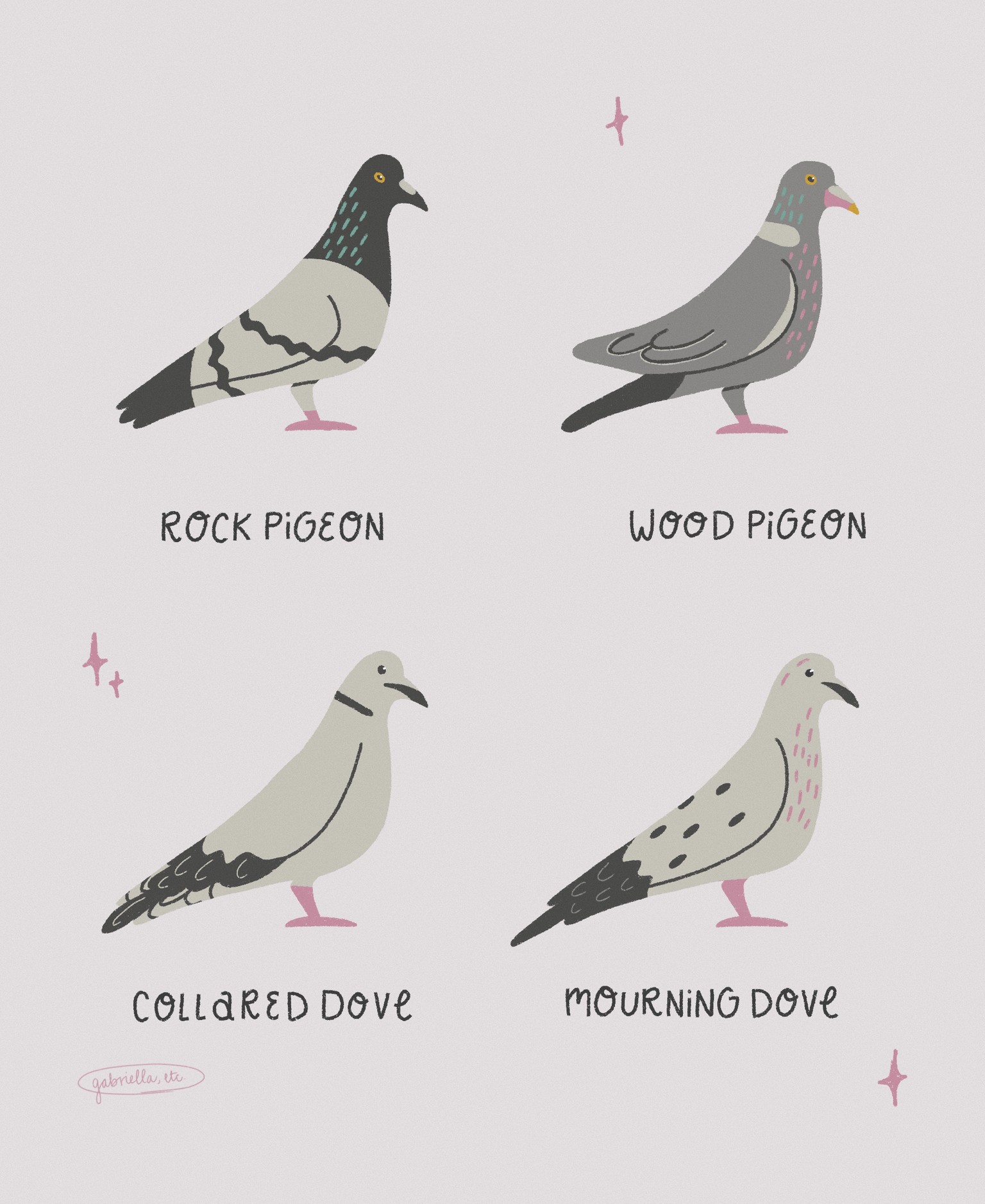 Stylizing birds 🕊️ - image 3 - student project