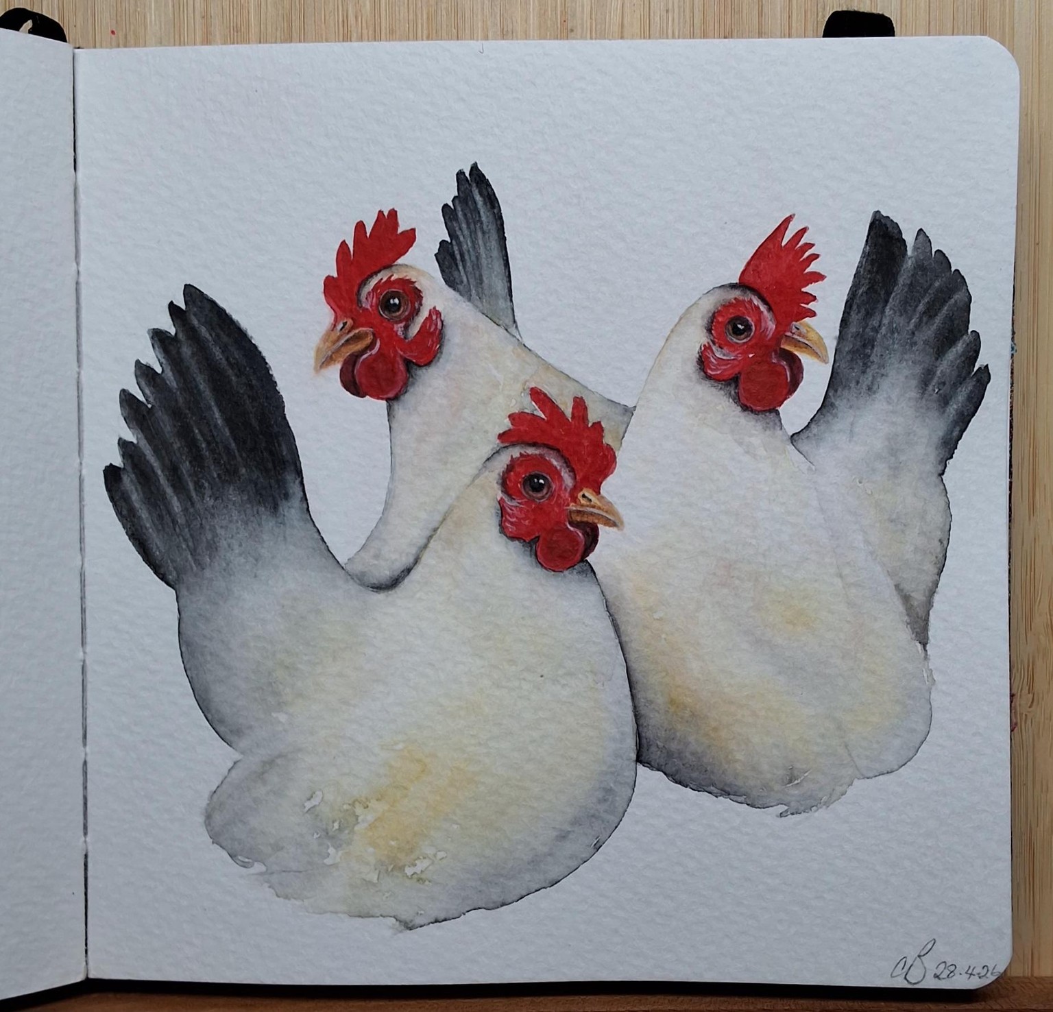 Chooks in watercolour - image 1 - student project