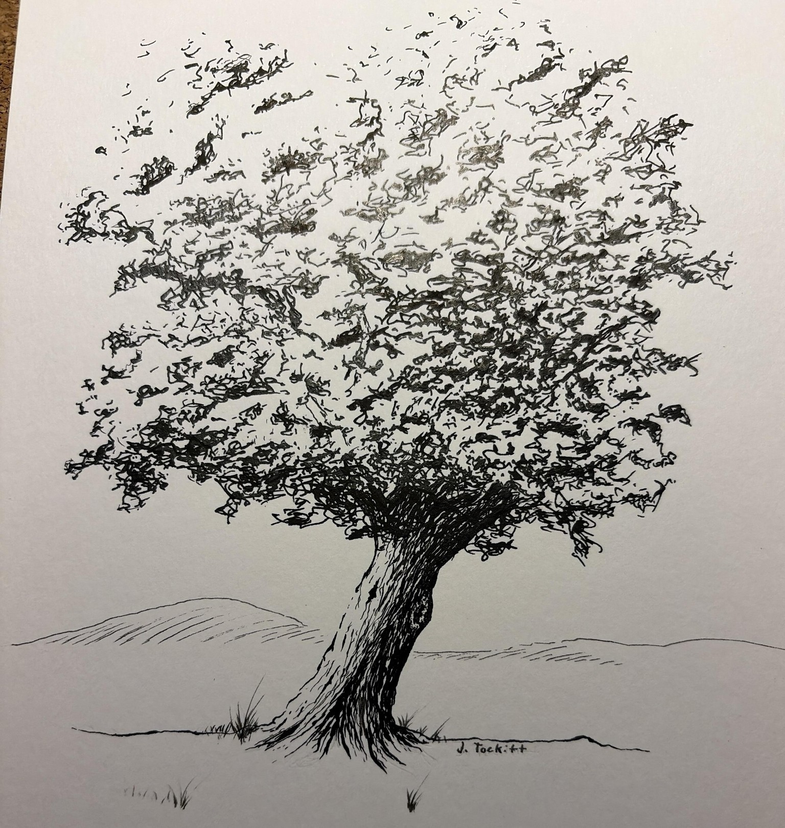 Sherrel's Tree - image 1 - student project