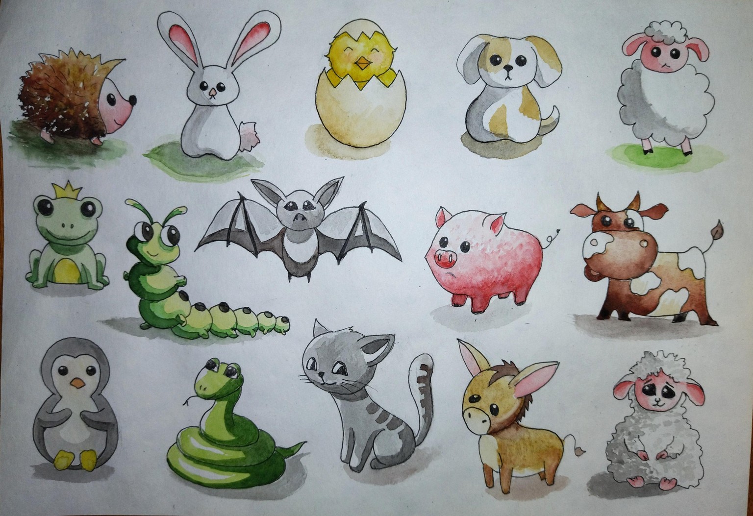 Cute animals - image 1 - student project