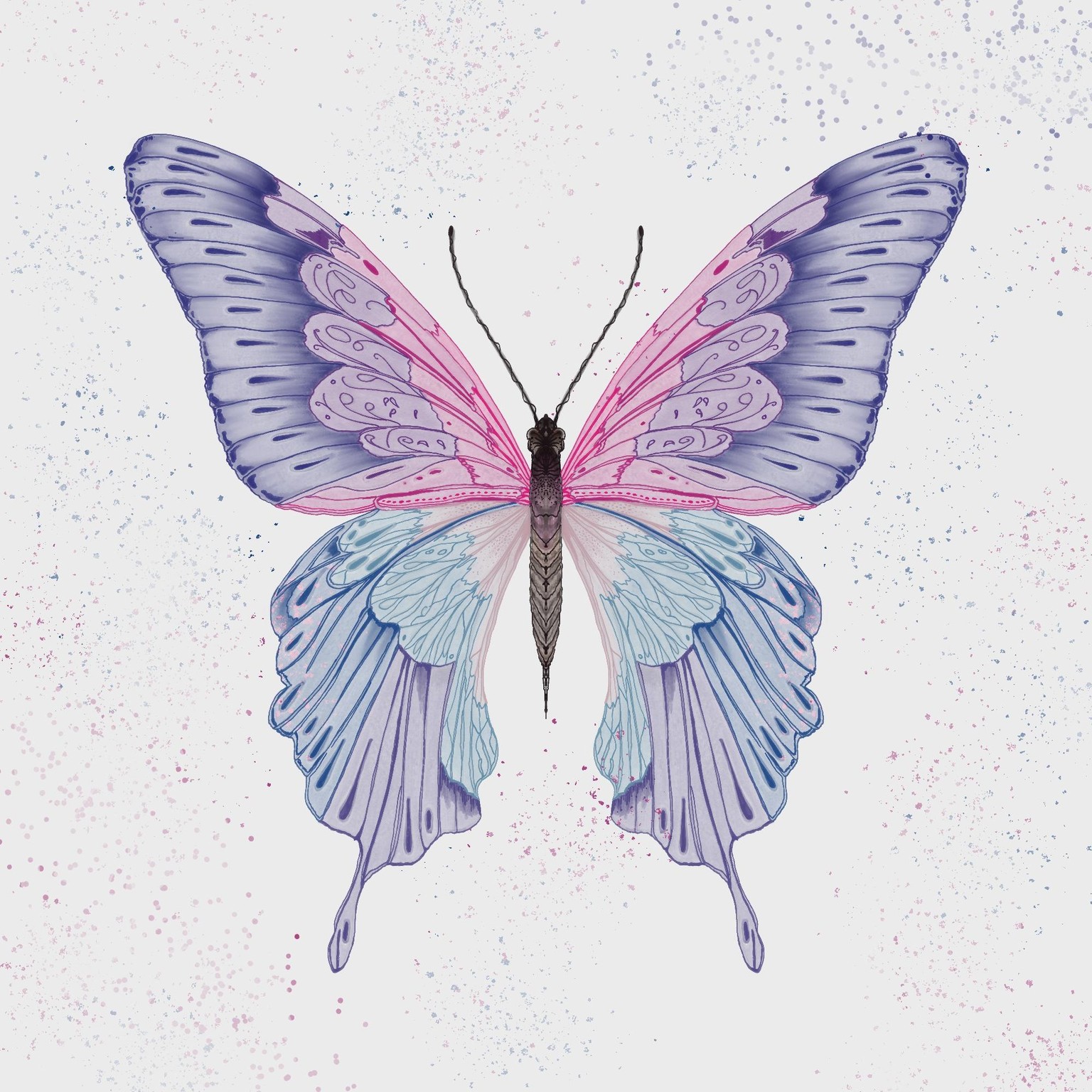 Butterfly - image 1 - student project