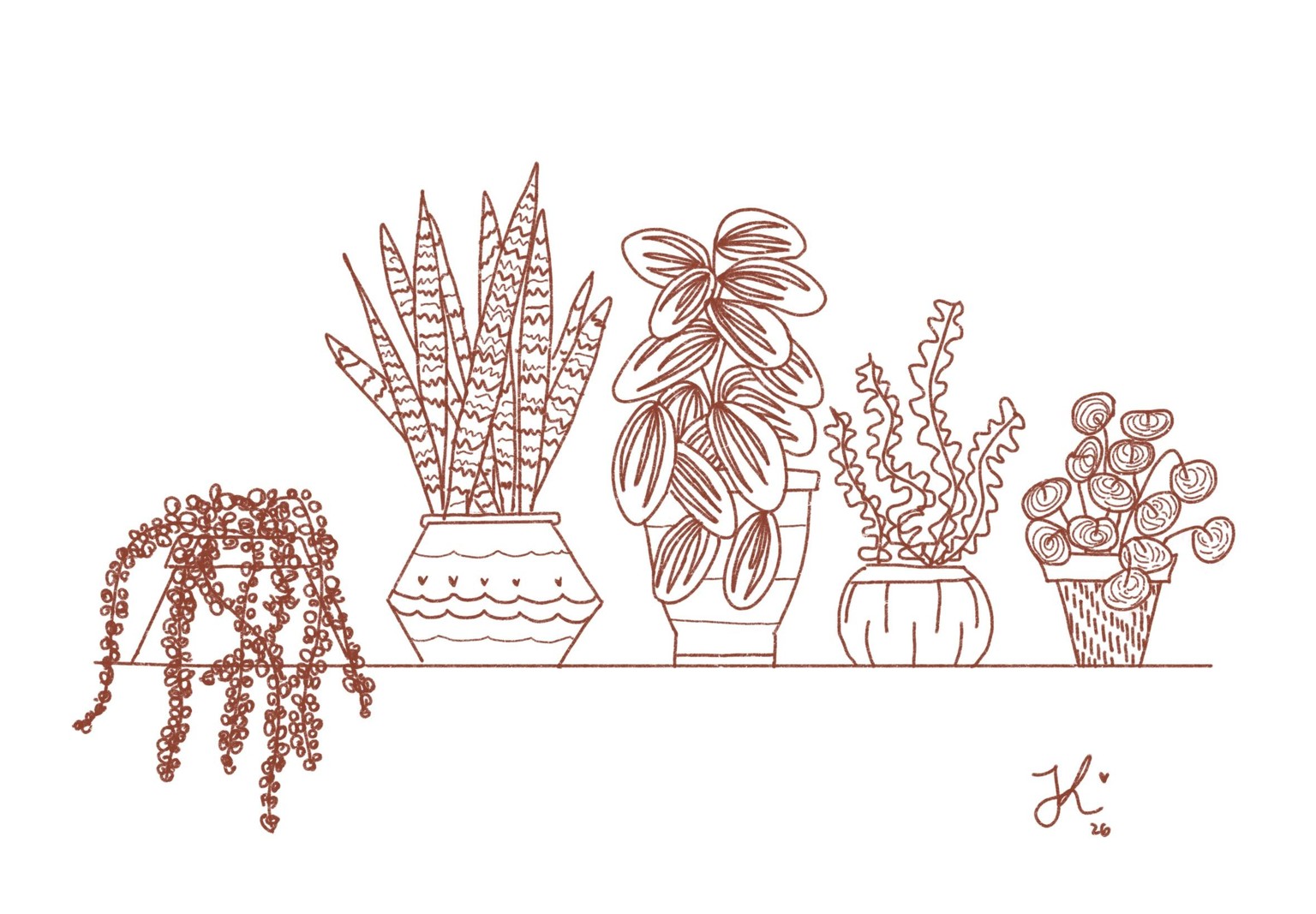 Plants & botanical illustration - image 5 - student project