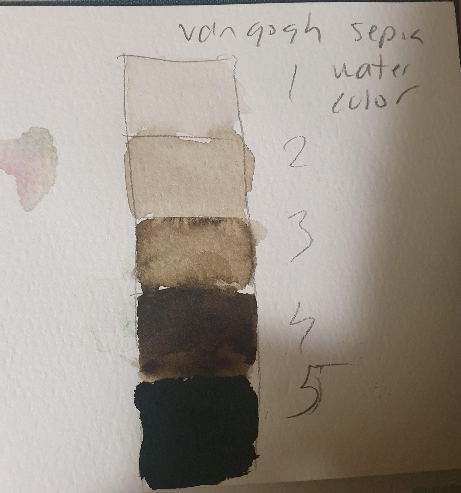 Watercolor sketches in sepia - image 3 - student project