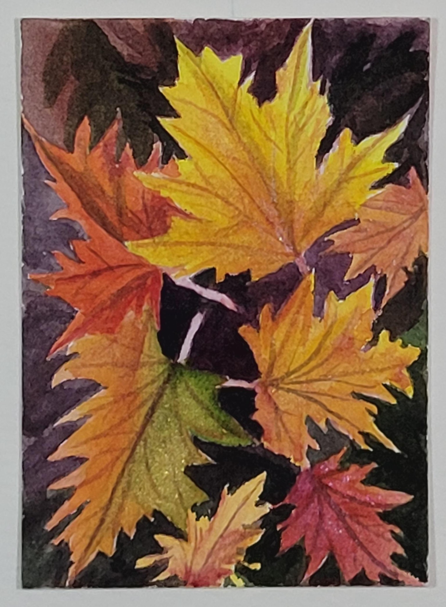 Tiny Maple project - image 1 - student project