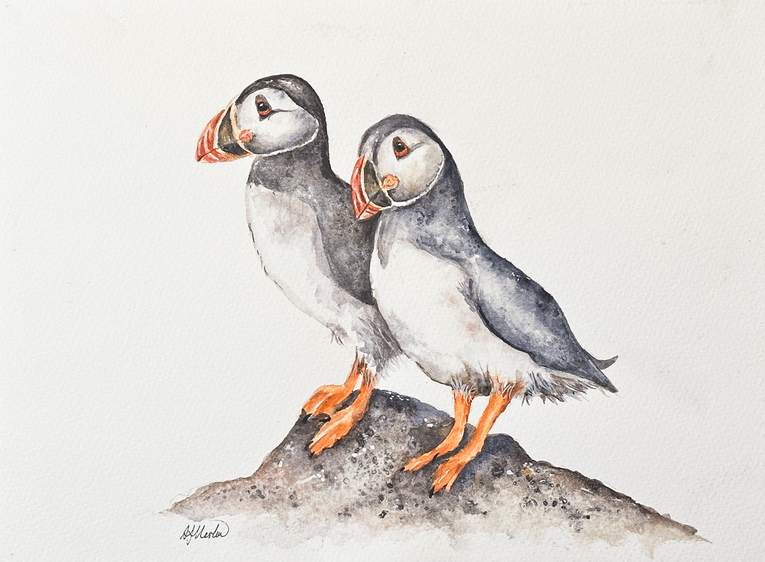 Puffins - image 1 - student project