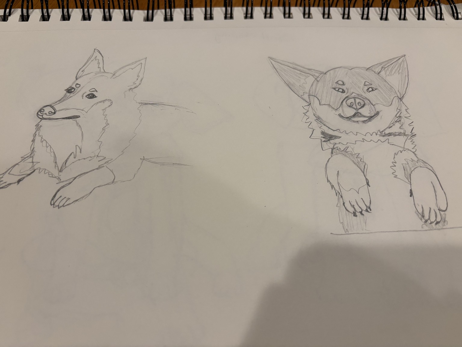 Animal characters progression - image 2 - student project