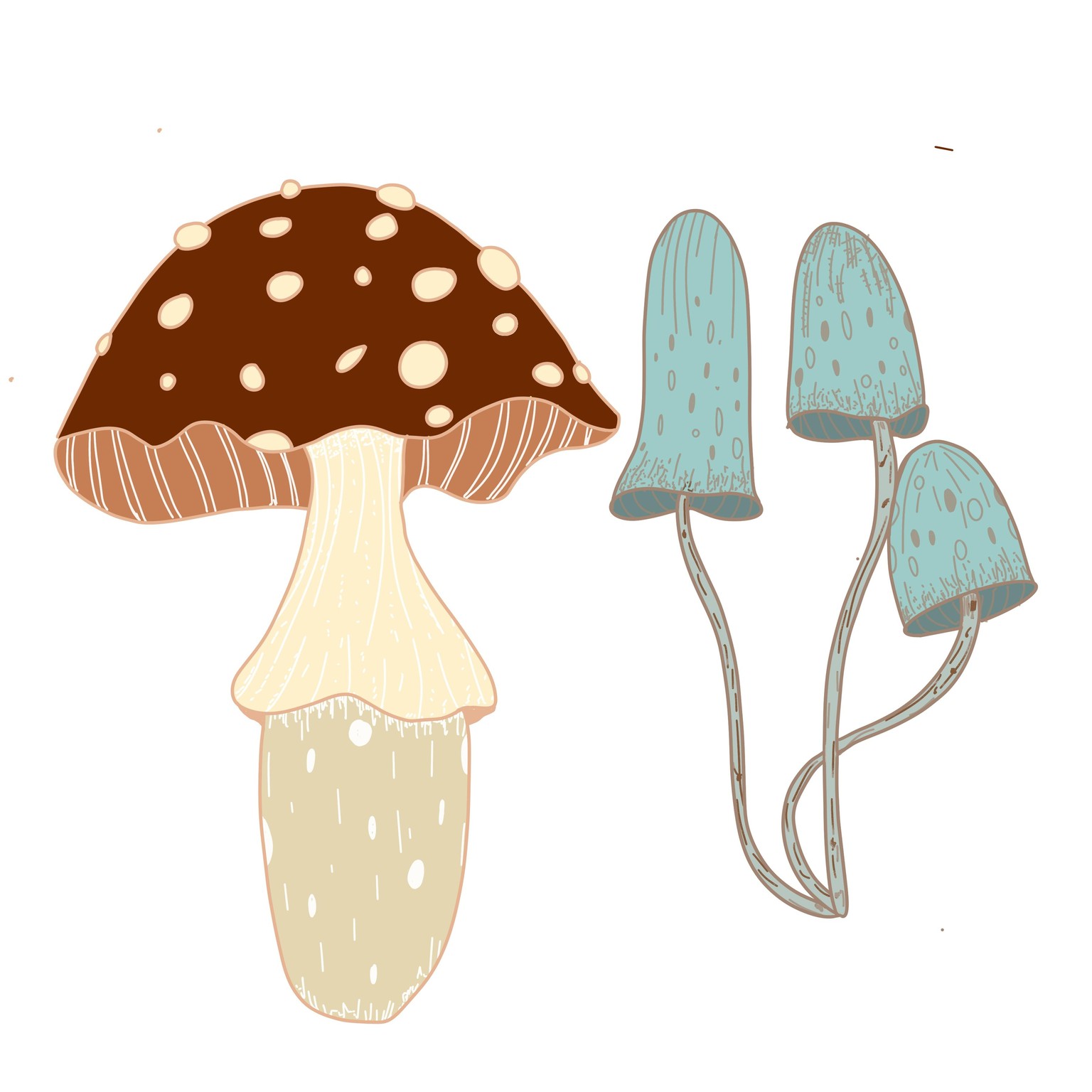 Procreate mushrooms - image 1 - student project