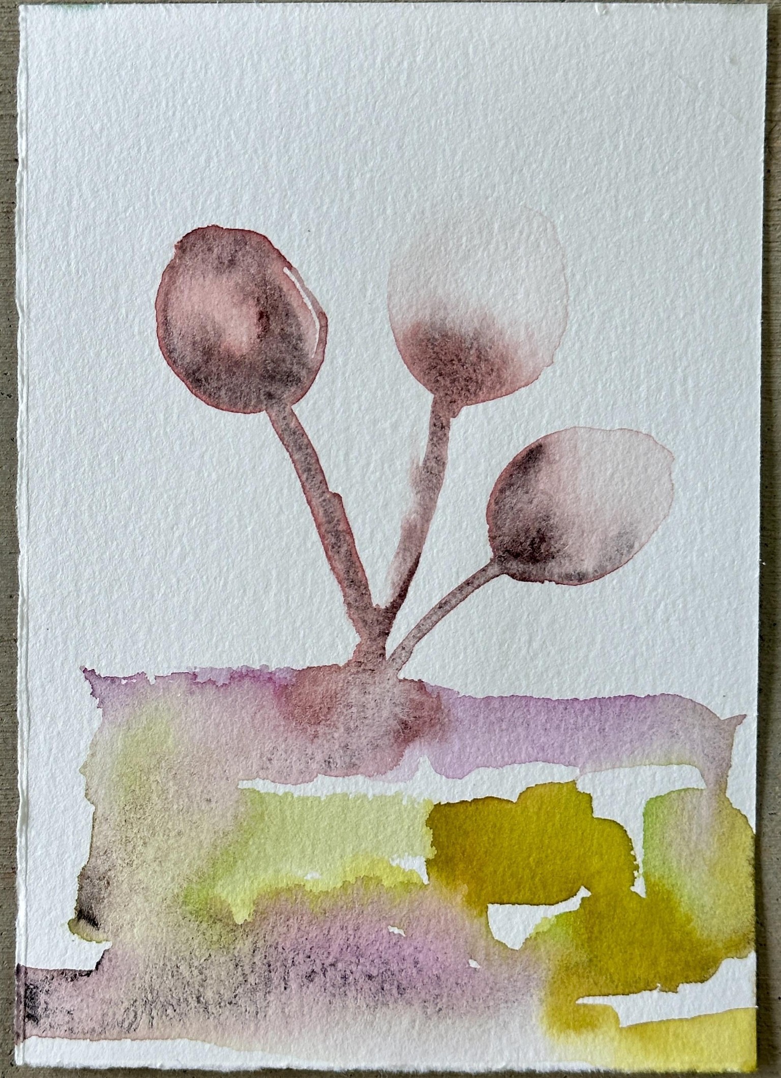 Loose watercolor florals - image 2 - student project