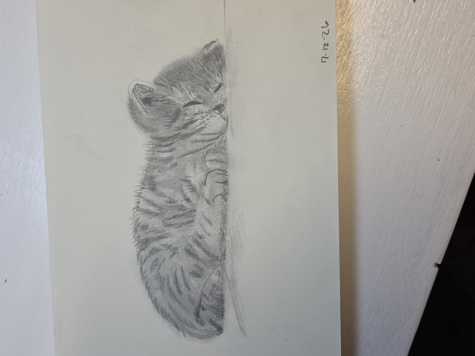Sweet kitten - image 1 - student project