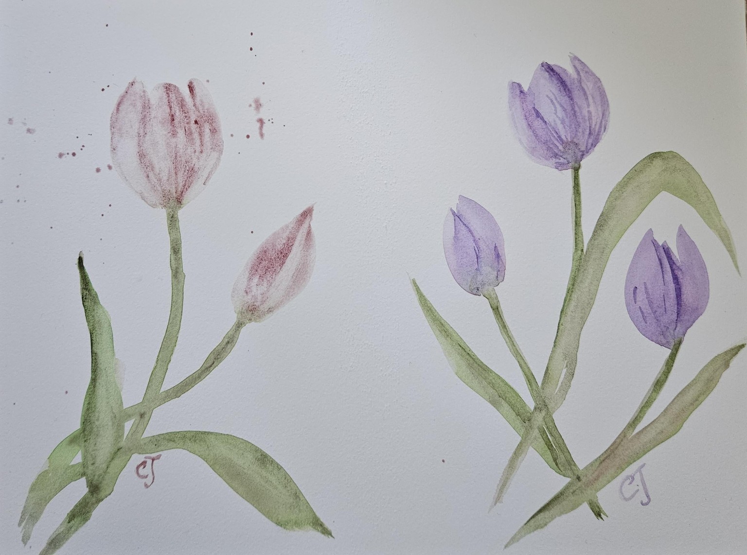 Tulips 020126 - image 1 - student project