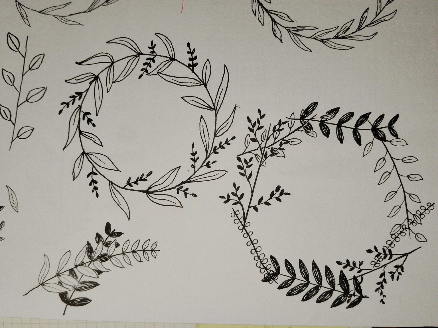 Drawing Wreaths - image 4 - student project