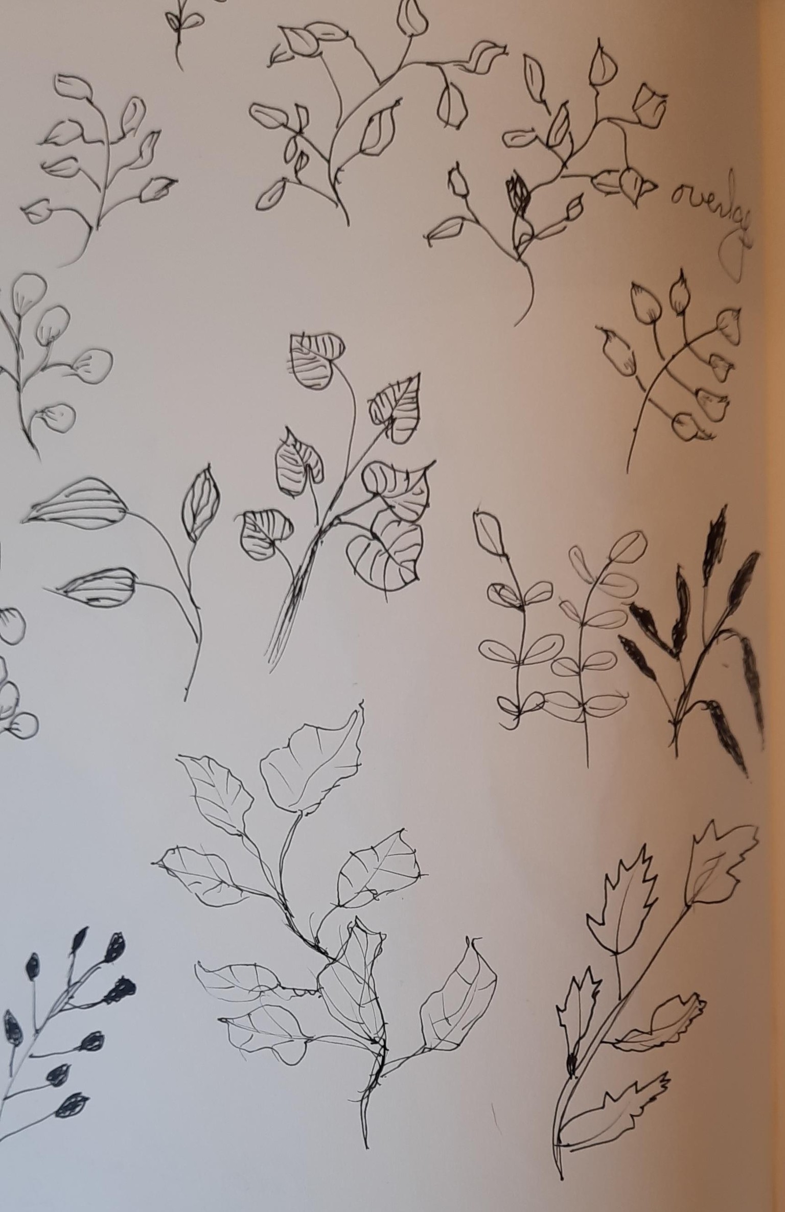 Doodling Leaves - image 1 - student project