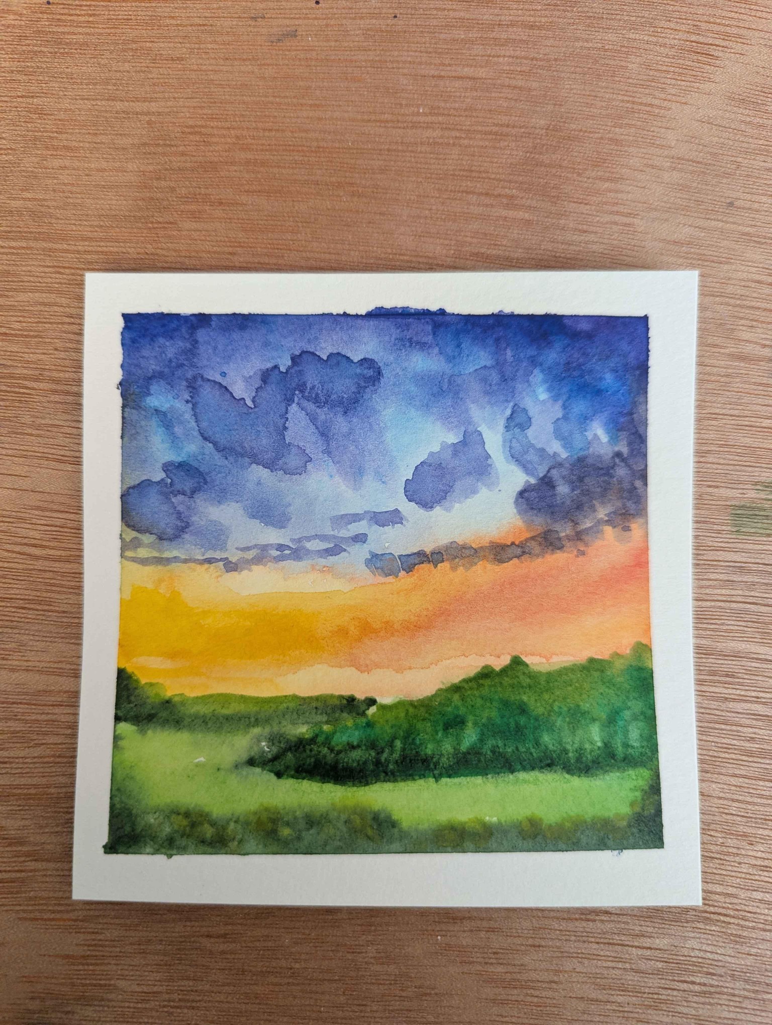 A tricky landscape for me - image 1 - student project
