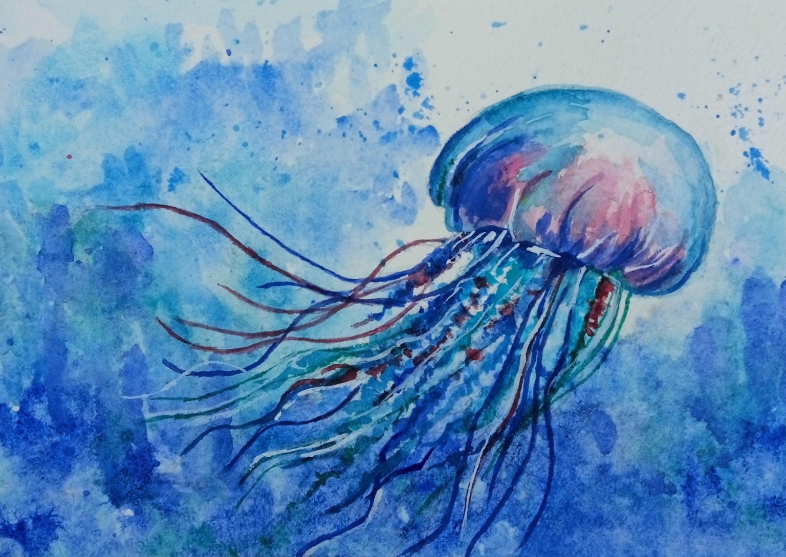 Having fun in the water. .. . - image 1 - student project
