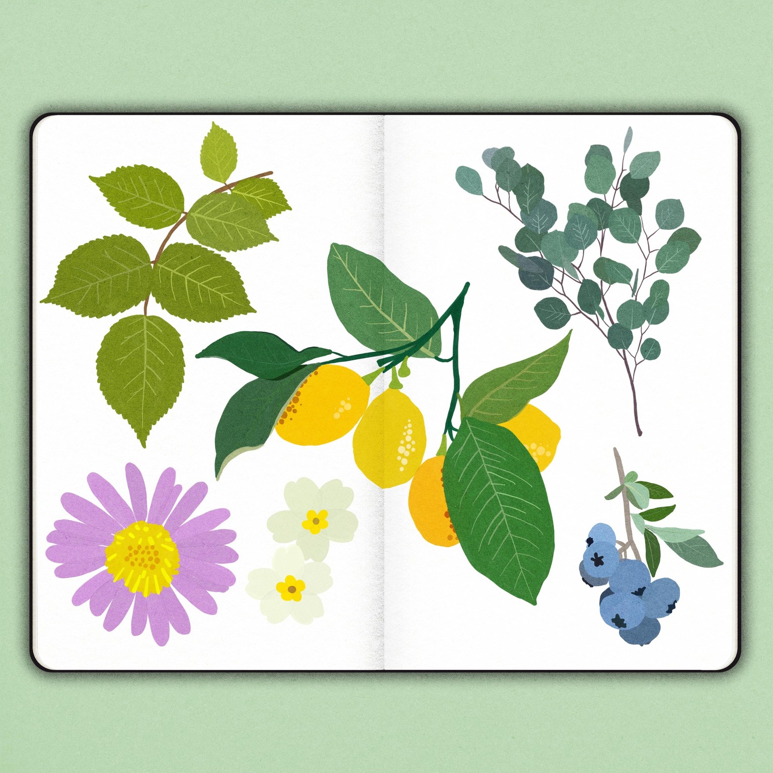 Flat gouache fruit and foliage - image 1 - student project