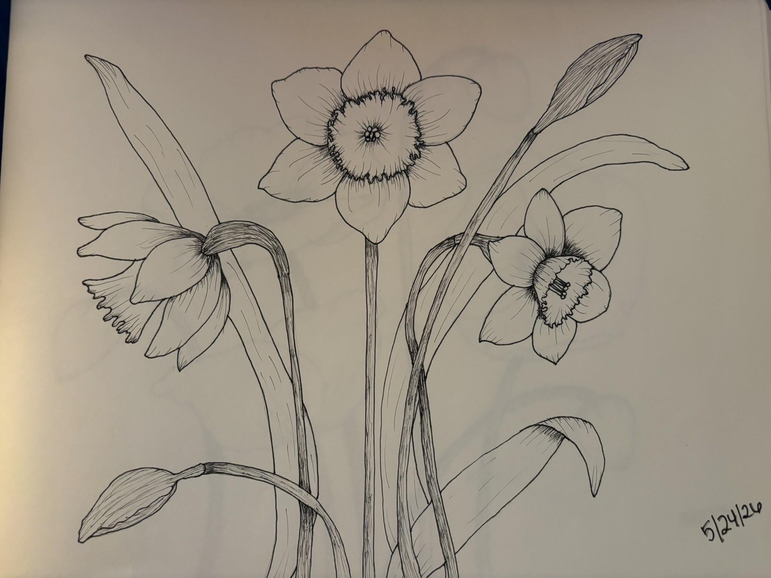 Flower Drawings - image 7 - student project