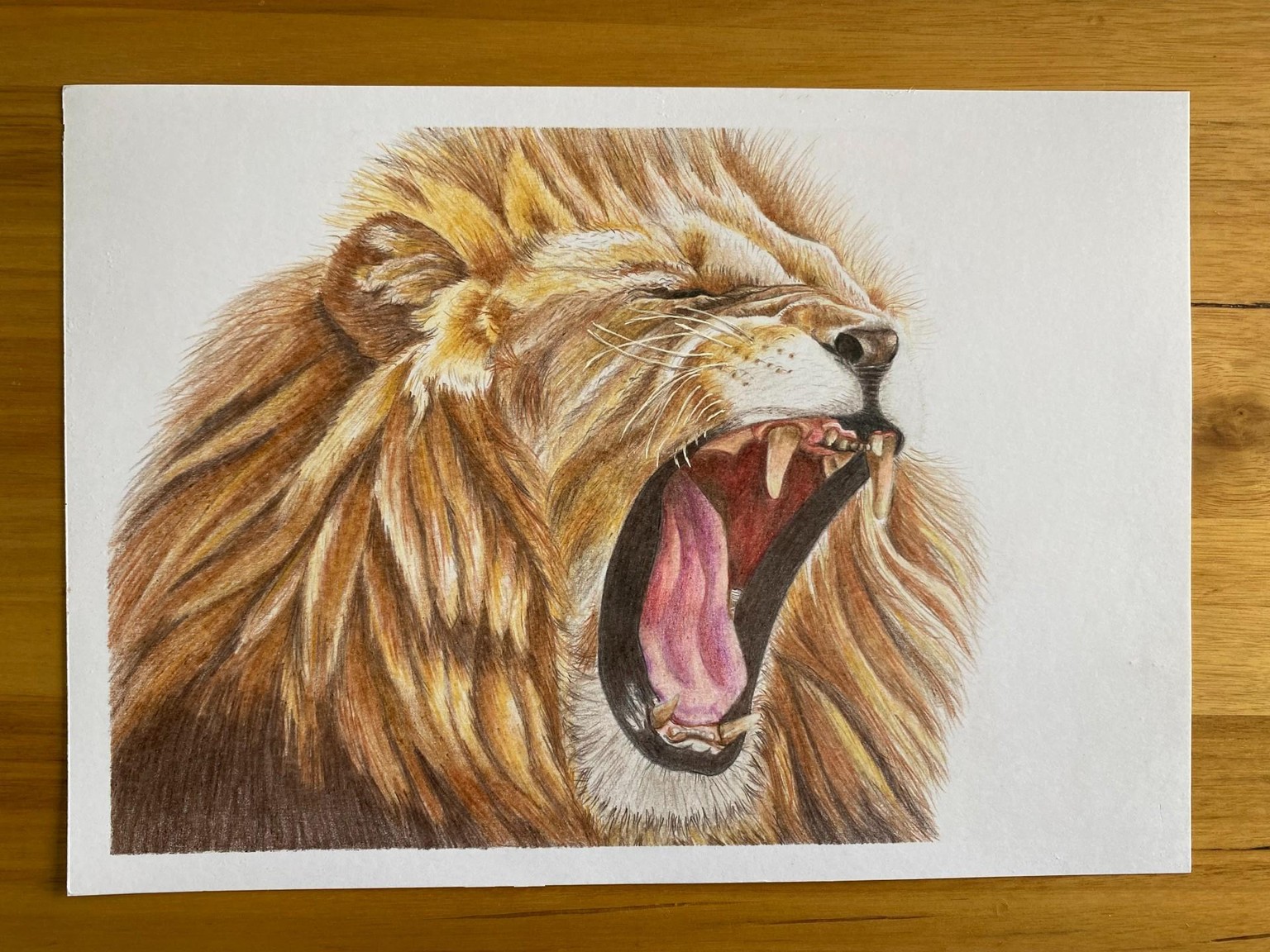 Lion - image 1 - student project