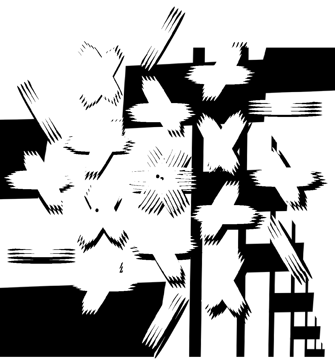 d - image 2 - student project