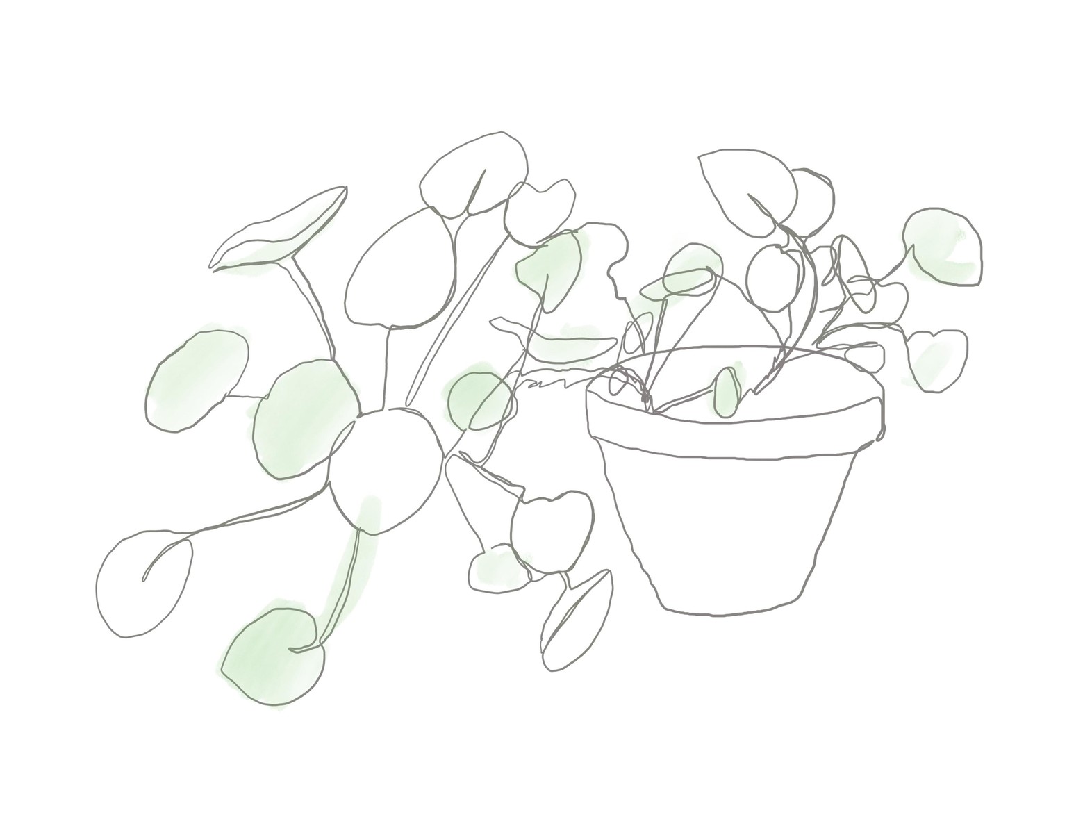 One line drawing, plants and butterfly - image 3 - student project