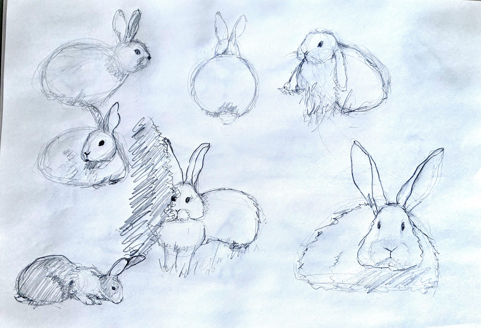 Pencil Sketching - image 3 - student project