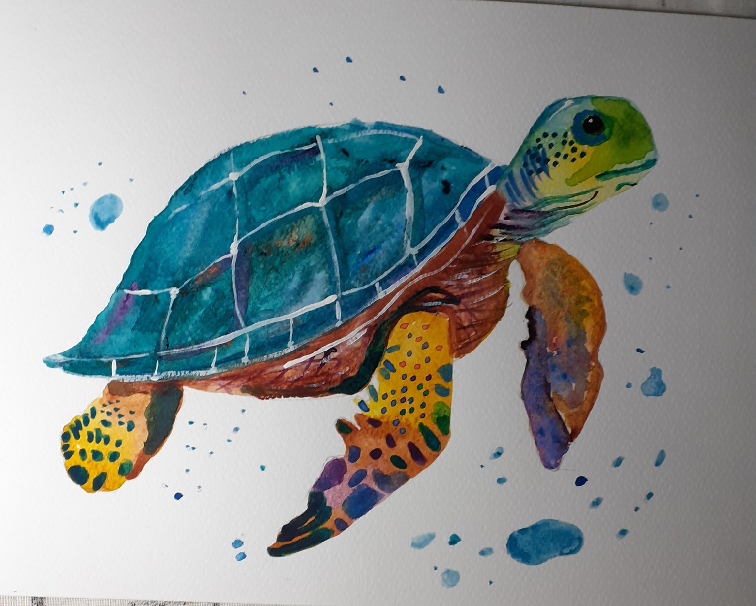 Bea's turtle - image 1 - student project