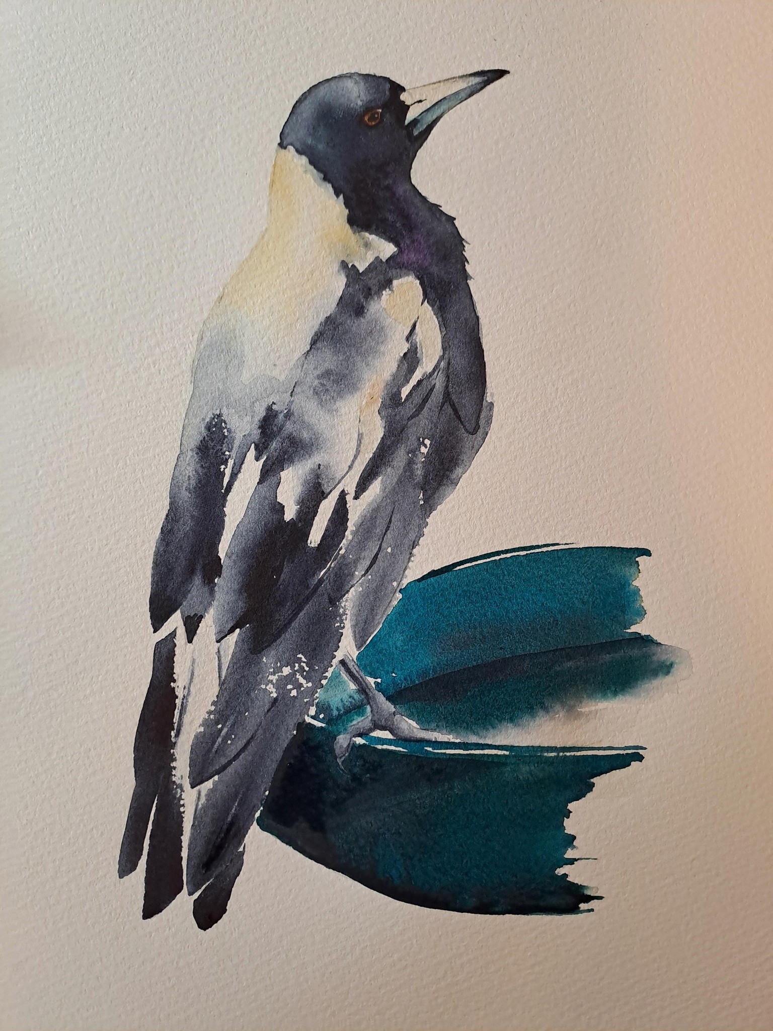 Magpie - image 1 - student project
