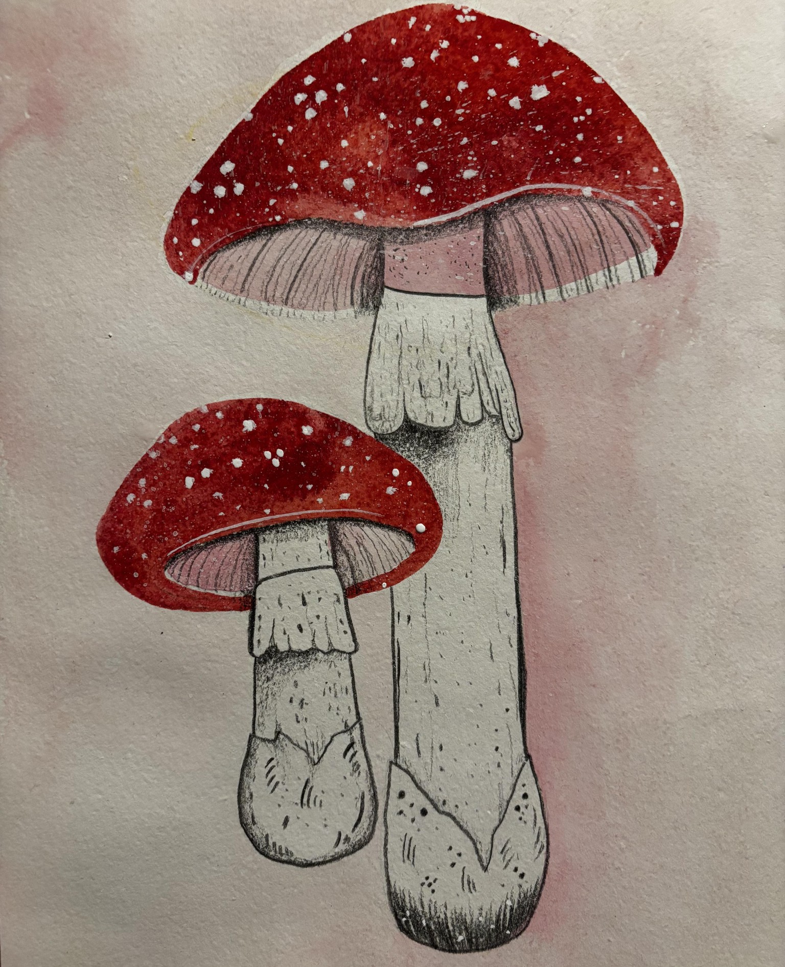 Mixed media mushroom - image 1 - student project